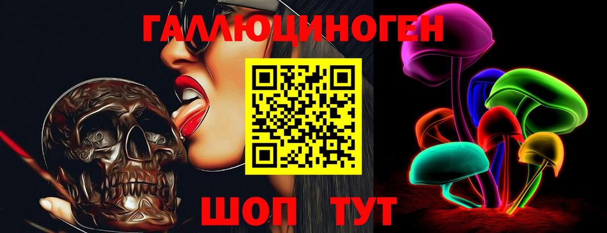 Галлюциногенные грибы Psilocybe  что такое   Новоалтайск  Вход с VPN 