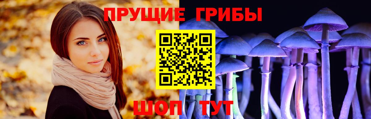 Псилоцибиновые грибы ЛСД Новоалтайск