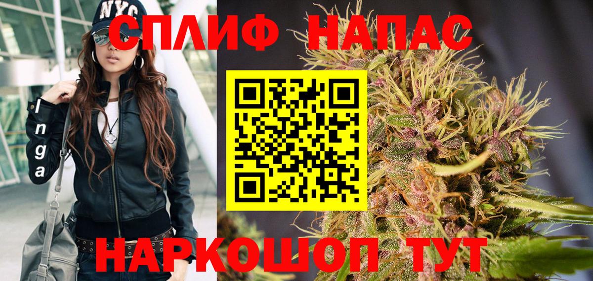 Канабис гибрид Новоалтайск